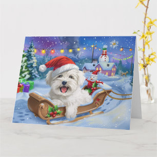 Carte Coton De Tulear Chien dans Sleigh neige Noël
