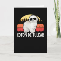 Coton de Tulear | Coton de Tuléar du propriétaire