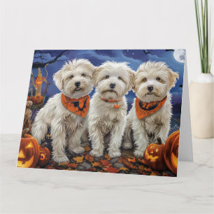 Carte Coton De Tulear Halloween Éffrayant