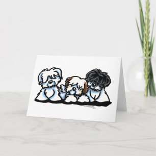 Carte Coton De Tulear Trio