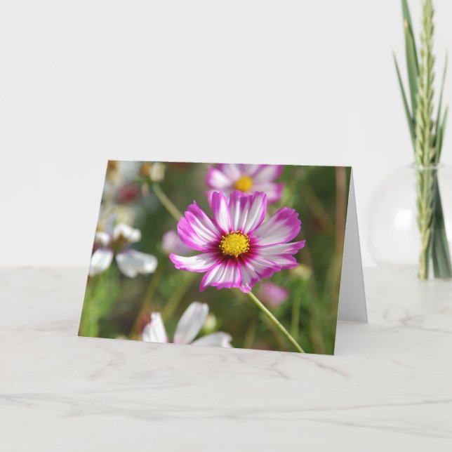 Carte Cottage jardin, Rosalinde (Devant)