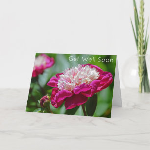 Carte Cottage rose Peony Garden Flower Se Bien Bientôt