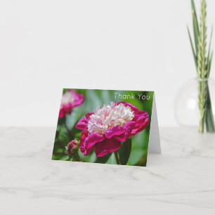 Carte Cottage rose Peony Jardin Fleur Merci
