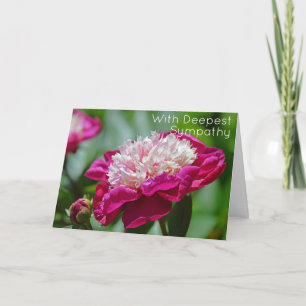 Carte Cottage rose Peony Jardin Fleur plus profonde Symp