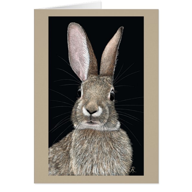 Carte Cottontail Rabbit (Devant)