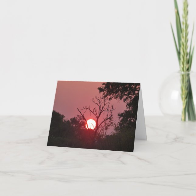 CARTE COUCHER DE SOLEIL AU BOTSWANA (Devant)