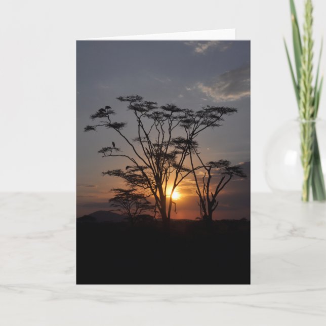 Carte Coucher de soleil du Serengeti (Devant)
