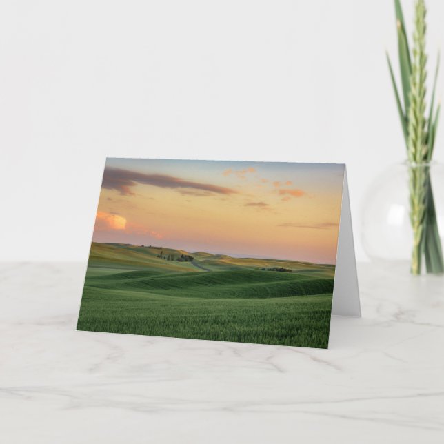 Carte Coucher de soleil sur les champs de blé | État de  (Devant)