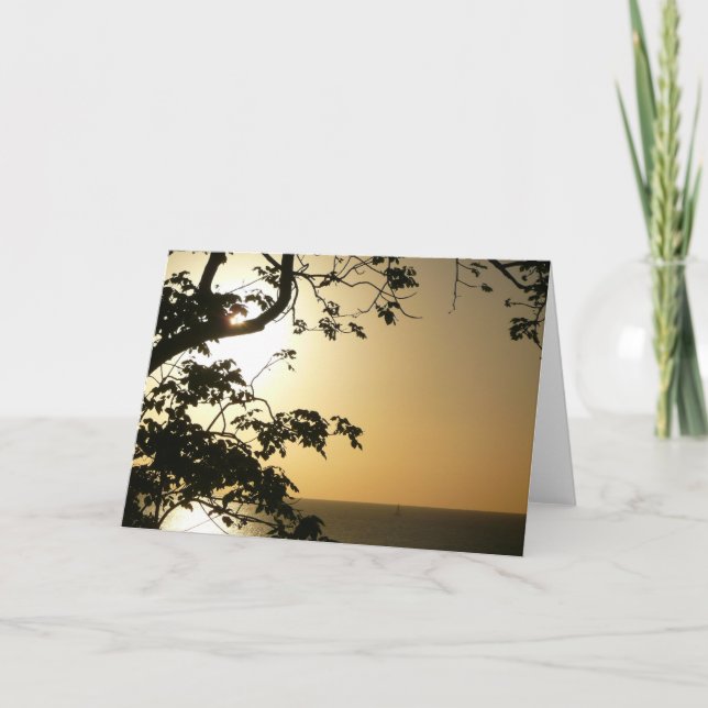 Carte Coucher du soleil à travers les arbres II Photogra (Devant)