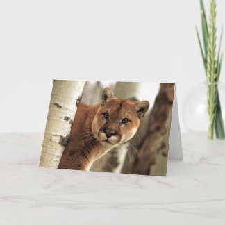 Carte Cougar