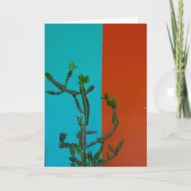 Carte couleur cactus (Devant)