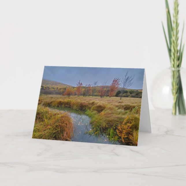 Carte Couleur d'automne dans le Parc national de l'Acadi (Devant)