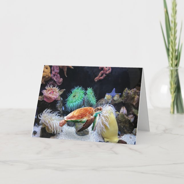 Carte couleur Sea life Note (Devant)