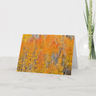 Carte Couleurs d'automne sur les bosquets de trembles