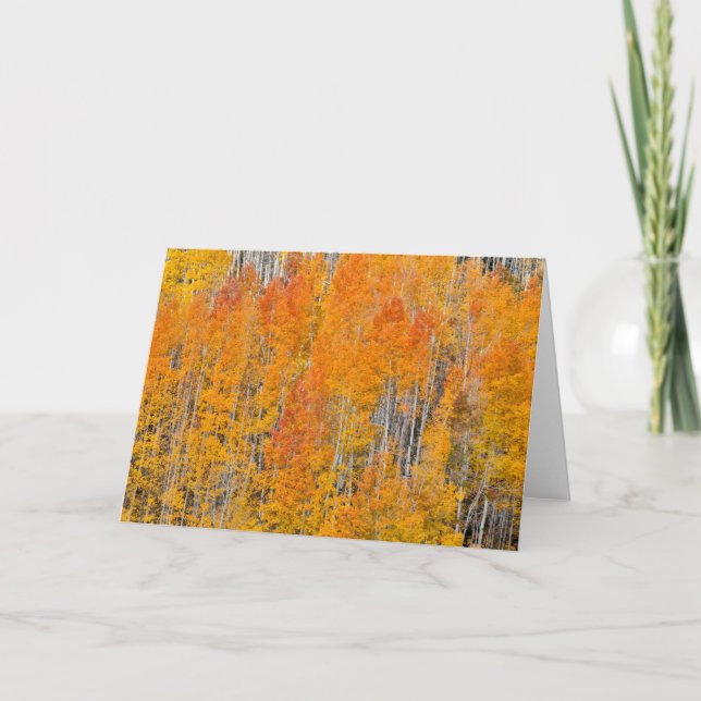 Carte Couleurs d'automne sur les bosquets de trembles (Devant)