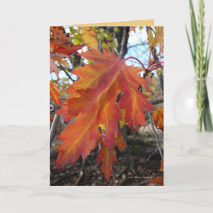 Carte Couleurs vraies