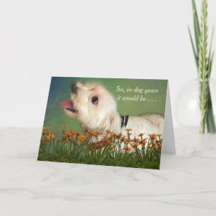 Carte Counting in Dog Years Birthday