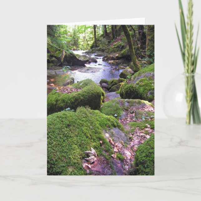 Carte Country Creek (Devant)