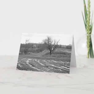Carte Country Road 7 x 5 Folded Greeting Card - blank