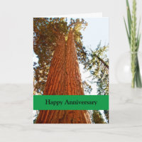 Couple Sequoia Trees, Happy Anniversary