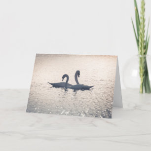 Carte Courage Swans Nature Photo