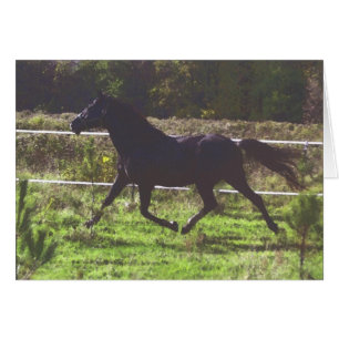 Carte courante de cheval