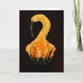 Carte "courge" par Larry Coressel