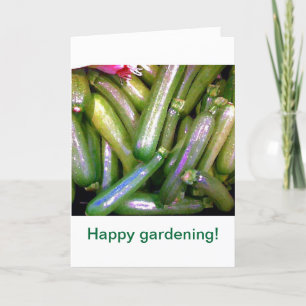 Carte Courgettes croisées