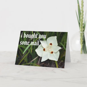 Carte courrier