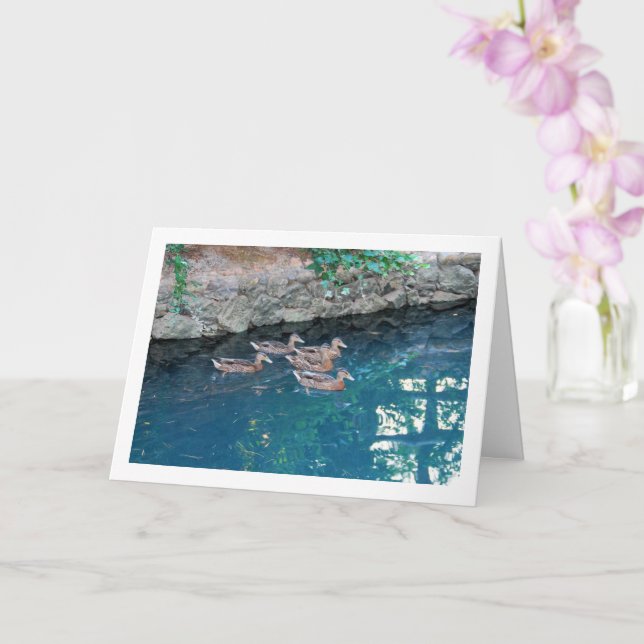 Carte Couvée de canards dans une eau bleue majestueuse (Orchidée)
