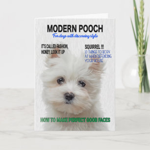 Carte Couverture du magazine parodique Maltese Terrier