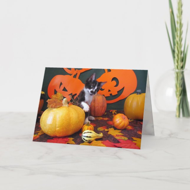 Carte Cowboy's Halloween Party - Chat / Kitten Card (Devant)