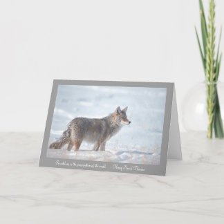 Carte Coyote dans la neige