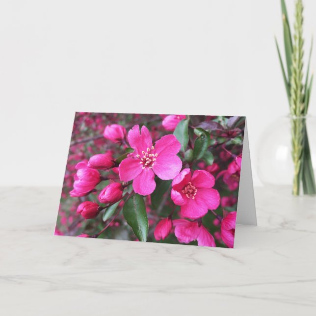 Carte Crabelle rose à fleurs (Devant)