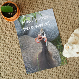 Carte Cranky Guinea Fowl'anniversaire amusant