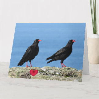 Carte Craves à bec rouge (Palores) Pyrrhocorax pyrrhocor