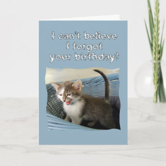Carte Crazy Kitten Anniversaire