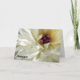 Carte Creamy White Peony Flower