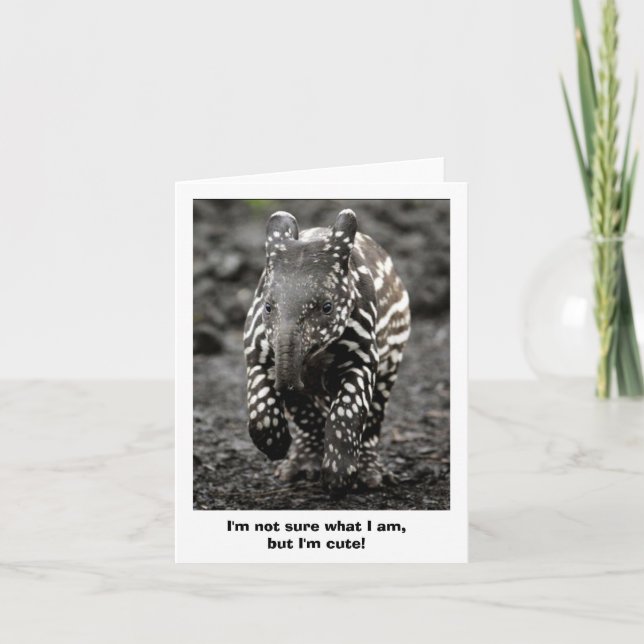 Carte Créature de mystère (Devant)