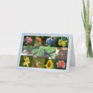 Carte Créatures et collection de création