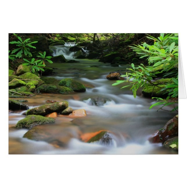 Carte Creek (Devant horizontal)