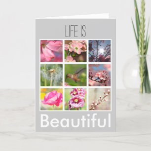 Carte Créez votre propre collection de photos