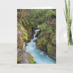 Carte Crique d'Avalanche, Parc national des Glaciers, Mo