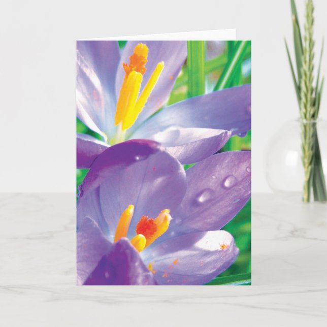 Carte Crocus Avec Poésie Fleur Colorée Dew (Devant)