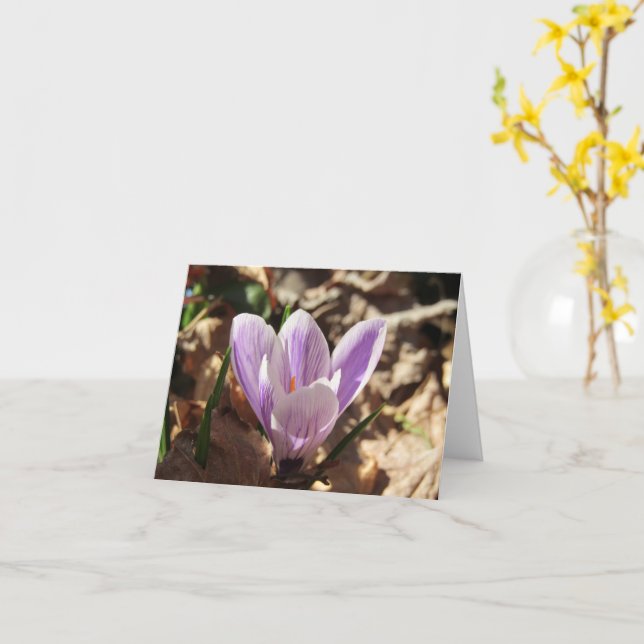 Carte Crocus Emerging (vide) (Fleur jaune)