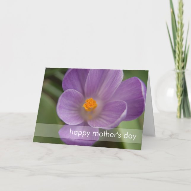 Carte Crocus PICT5930 (Devant)