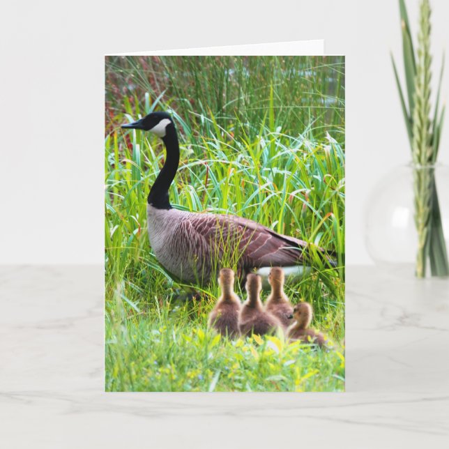 Carte Croisement d'oies (Devant)