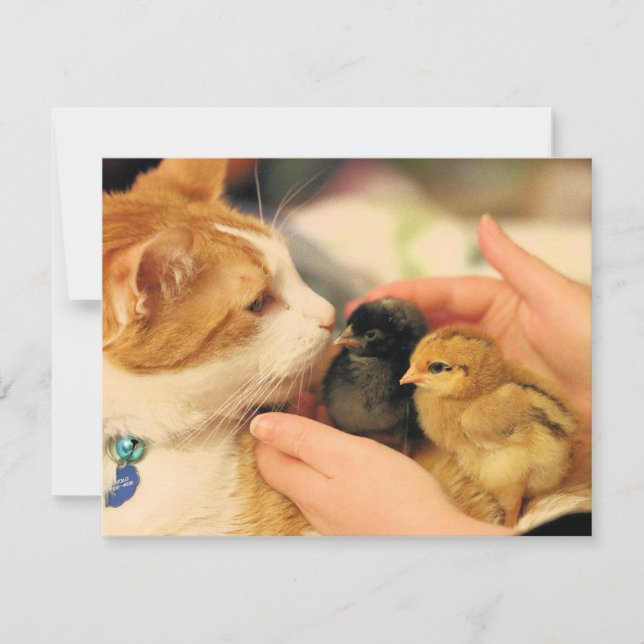 Carte Cubes (Devant)