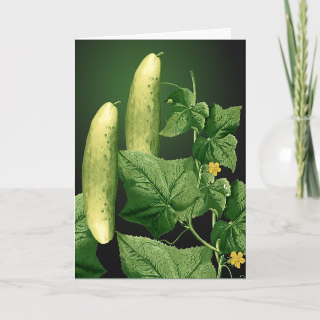Carte Cucumber Garden Grey Card 2 (Devant)