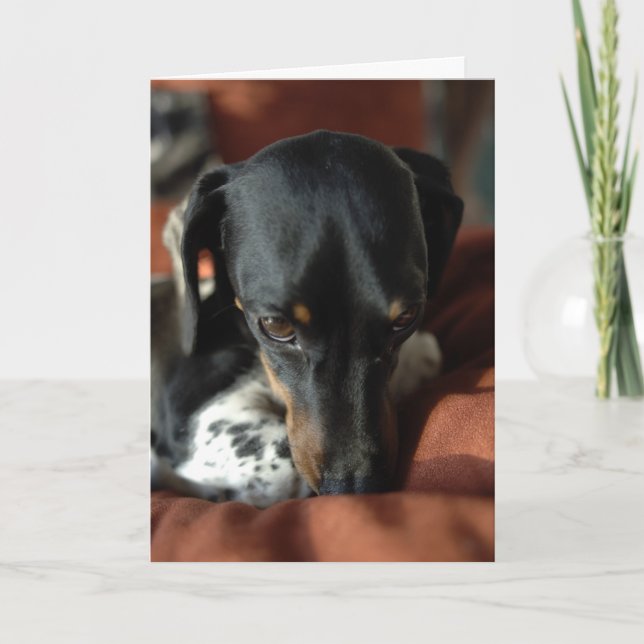 Carte Culpabilité (Devant)